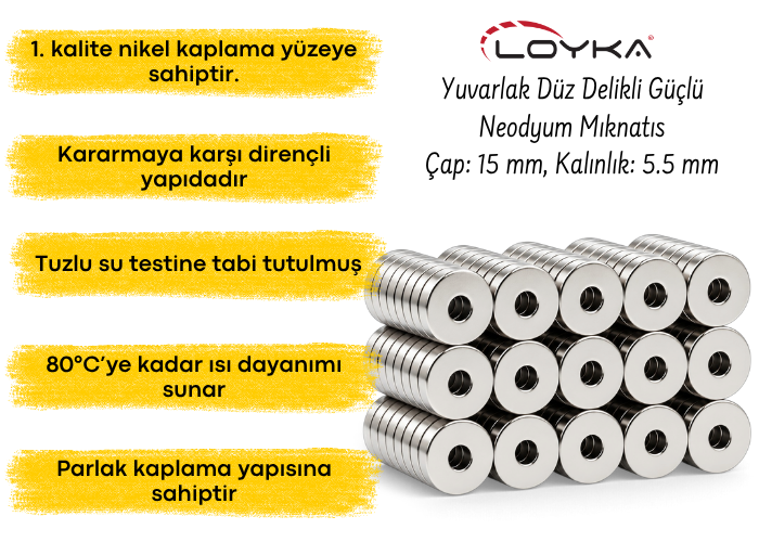 Yuvarlak düz delikli mıknatıs
