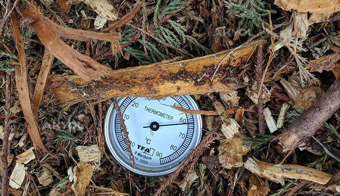 kompost termometre